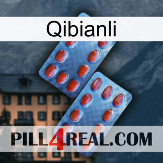 Qibianli 05
